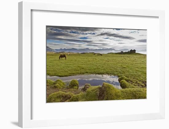 Horses Grazing by Abandon House, Vidbordssel Farm, Hornafjordur, Iceland-Arctic-Images-Framed Photographic Print