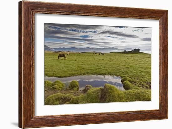 Horses Grazing by Abandon House, Vidbordssel Farm, Hornafjordur, Iceland-Arctic-Images-Framed Photographic Print