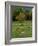 Horses Grazing in Meadow, Cades Cove, Great Smoky Mountains National Park, Tennessee, USA-Adam Jones-Framed Photographic Print