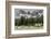 Horses Grazing in the Meadow Blanketed in Summer Snow, Dolomites, Alto Adige or South Tyrol, Italy-Stefano Politi Markovina-Framed Photographic Print