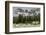 Horses Grazing in the Meadow Blanketed in Summer Snow, Dolomites, Alto Adige or South Tyrol, Italy-Stefano Politi Markovina-Framed Photographic Print