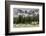 Horses Grazing in the Meadow Blanketed in Summer Snow, Dolomites, Alto Adige or South Tyrol, Italy-Stefano Politi Markovina-Framed Photographic Print