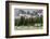 Horses Grazing in the Meadow Blanketed in Summer Snow, Dolomites, Alto Adige or South Tyrol, Italy-Stefano Politi Markovina-Framed Photographic Print