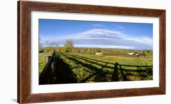Horses grazing on paddock at horse farm, Lexington, Kentucky, USA-Panoramic Images-Framed Photographic Print