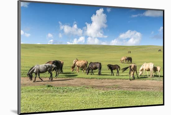 Horses grazing on the Mongolian steppe, South Hangay, Mongolia, Central Asia, Asia-Francesco Vaninetti-Mounted Photographic Print