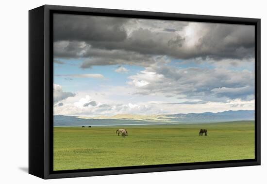 Horses grazing on the Mongolian steppe under a cloudy sky, South Hangay, Mongolia, Central Asia, As-Francesco Vaninetti-Framed Premier Image Canvas