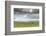 Horses grazing on the Mongolian steppe under a cloudy sky, South Hangay, Mongolia, Central Asia, As-Francesco Vaninetti-Framed Photographic Print