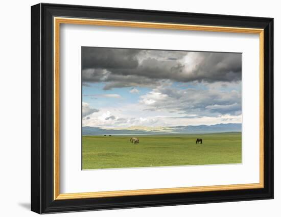 Horses grazing on the Mongolian steppe under a cloudy sky, South Hangay, Mongolia, Central Asia, As-Francesco Vaninetti-Framed Photographic Print