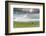 Horses grazing on the Mongolian steppe under a cloudy sky, South Hangay, Mongolia, Central Asia, As-Francesco Vaninetti-Framed Photographic Print