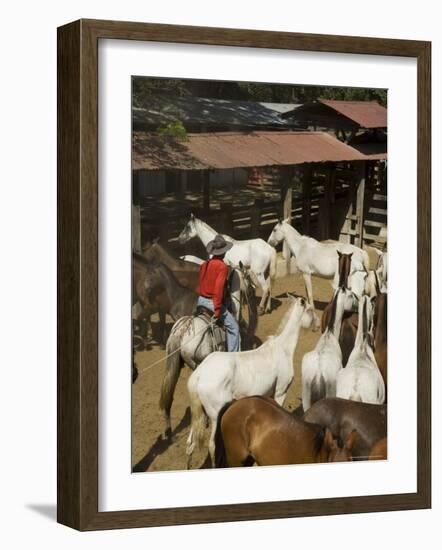 Horses, Hacienda Gauachipelin,Near Rincon De La Vieja National Park, Gaunacaste, Costa Rica-Robert Harding-Framed Photographic Print