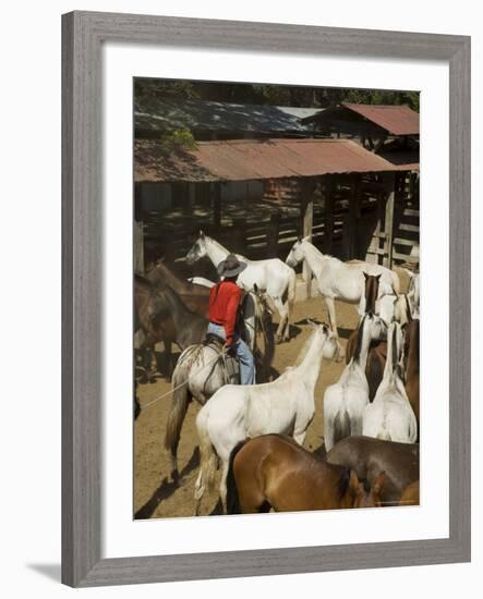 Horses, Hacienda Gauachipelin,Near Rincon De La Vieja National Park, Gaunacaste, Costa Rica-Robert Harding-Framed Photographic Print