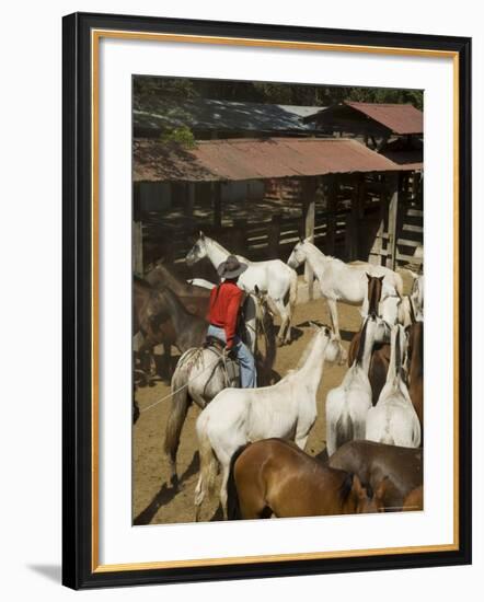 Horses, Hacienda Gauachipelin,Near Rincon De La Vieja National Park, Gaunacaste, Costa Rica-Robert Harding-Framed Photographic Print