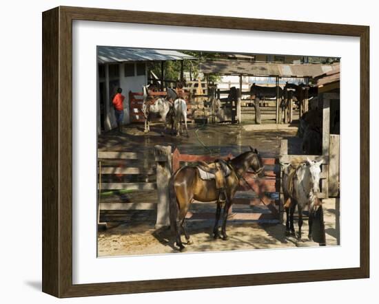 Horses, Hacienda Guachipelin, Near Rincon De La Vieja National Park, Guanacaste, Costa Rica-R H Productions-Framed Photographic Print