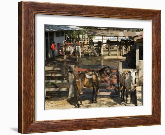 Horses, Hacienda Guachipelin, Near Rincon De La Vieja National Park, Guanacaste, Costa Rica-R H Productions-Framed Photographic Print