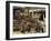 Horses, Hacienda Guachipelin, Near Rincon De La Vieja National Park, Guanacaste, Costa Rica-R H Productions-Framed Photographic Print