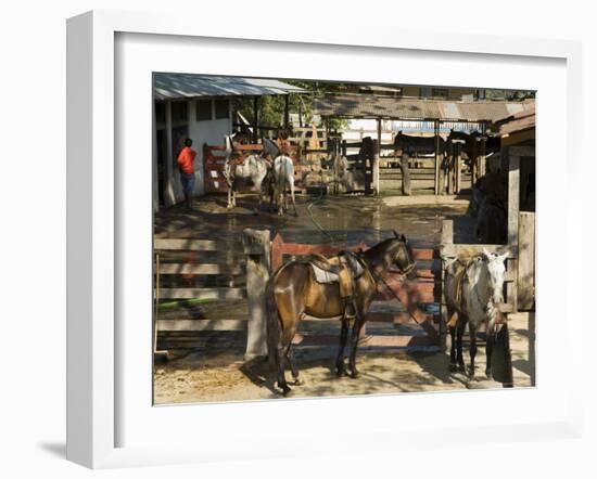 Horses, Hacienda Guachipelin, Near Rincon De La Vieja National Park, Guanacaste, Costa Rica-R H Productions-Framed Photographic Print