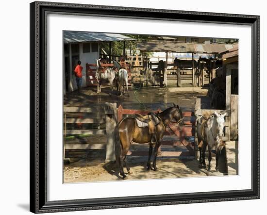 Horses, Hacienda Guachipelin, Near Rincon De La Vieja National Park, Guanacaste, Costa Rica-R H Productions-Framed Photographic Print