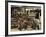 Horses, Hacienda Guachipelin, Near Rincon De La Vieja National Park, Guanacaste, Costa Rica-R H Productions-Framed Photographic Print