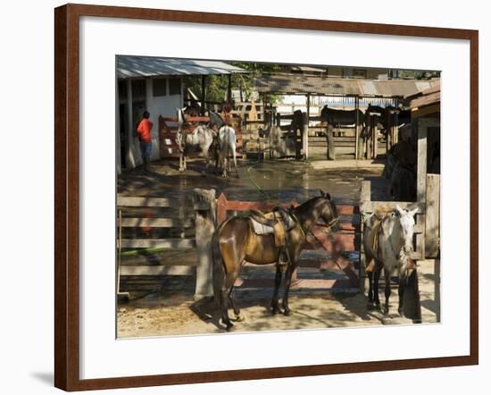 Horses, Hacienda Guachipelin, Near Rincon De La Vieja National Park, Guanacaste, Costa Rica-R H Productions-Framed Photographic Print