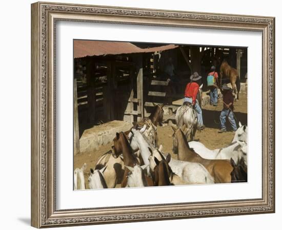 Horses, Hacienda Guachipelin, Near Rincon De La Vieja National Park, Guanacaste, Costa Rica-R H Productions-Framed Photographic Print