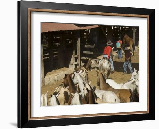 Horses, Hacienda Guachipelin, Near Rincon De La Vieja National Park, Guanacaste, Costa Rica-R H Productions-Framed Photographic Print