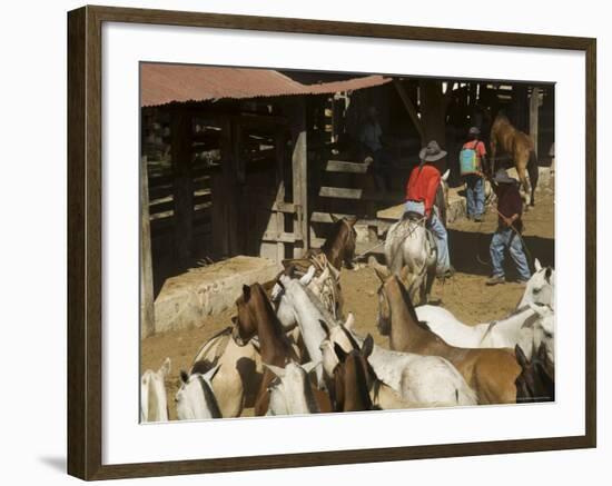 Horses, Hacienda Guachipelin, Near Rincon De La Vieja National Park, Guanacaste, Costa Rica-R H Productions-Framed Photographic Print