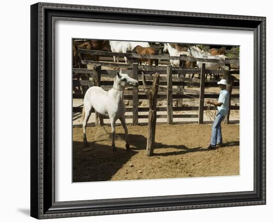 Horses, Hacienda Guachipelin, Near Rincon De La Vieja National Park, Guanacaste, Costa Rica-R H Productions-Framed Photographic Print