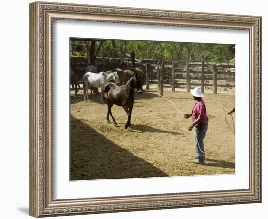 Horses, Hacienda Guachipelin, Near Rincon De La Vieja National Park, Guanacaste, Costa Rica-R H Productions-Framed Photographic Print