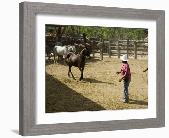 Horses, Hacienda Guachipelin, Near Rincon De La Vieja National Park, Guanacaste, Costa Rica-R H Productions-Framed Photographic Print