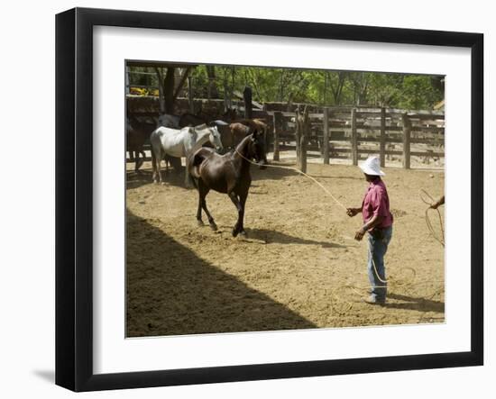 Horses, Hacienda Guachipelin, Near Rincon De La Vieja National Park, Guanacaste, Costa Rica-R H Productions-Framed Photographic Print