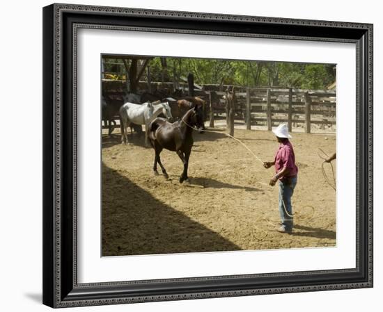 Horses, Hacienda Guachipelin, Near Rincon De La Vieja National Park, Guanacaste, Costa Rica-R H Productions-Framed Photographic Print