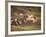 Horses, Haflinger, Meadow-Thonig-Framed Photographic Print