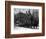 Horses Hauling Huge Load of Logs-W.G. Hopps-Framed Photographic Print