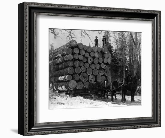 Horses Hauling Huge Load of Logs-W.G. Hopps-Framed Photographic Print