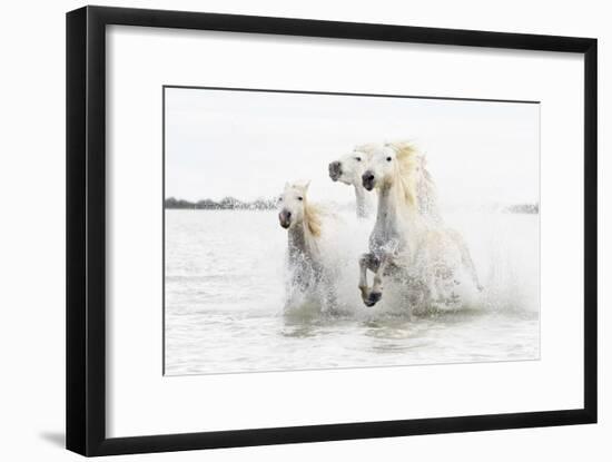 Horses Hight Key-Ciro De Simone-Framed Giclee Print