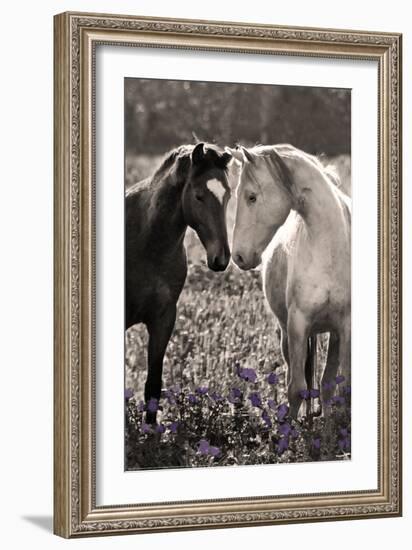 Horses I-Sally Linden-Framed Photo