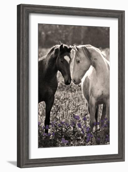 Horses I-Sally Linden-Framed Photo