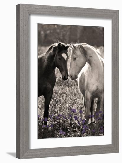 Horses I-Sally Linden-Framed Photo