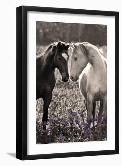 Horses I-Sally Linden-Framed Photo