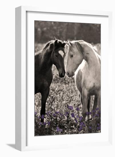 Horses I-Sally Linden-Framed Photo