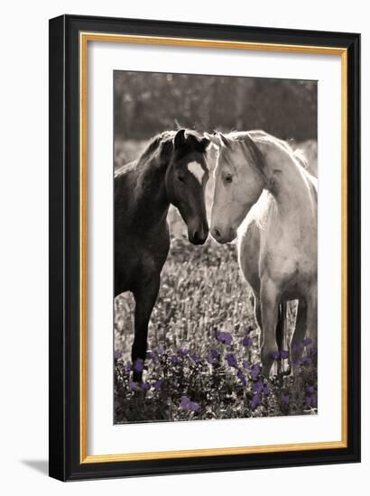 Horses I-Sally Linden-Framed Photo