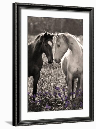 Horses I-Sally Linden-Framed Photo