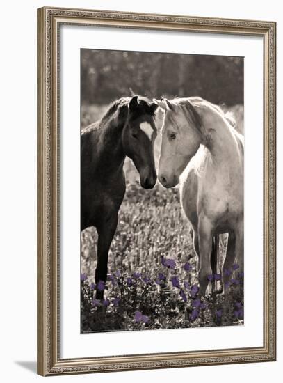 Horses I-Sally Linden-Framed Photo