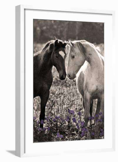 Horses I-Sally Linden-Framed Photo