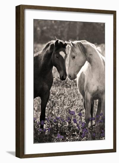 Horses I-Sally Linden-Framed Photo