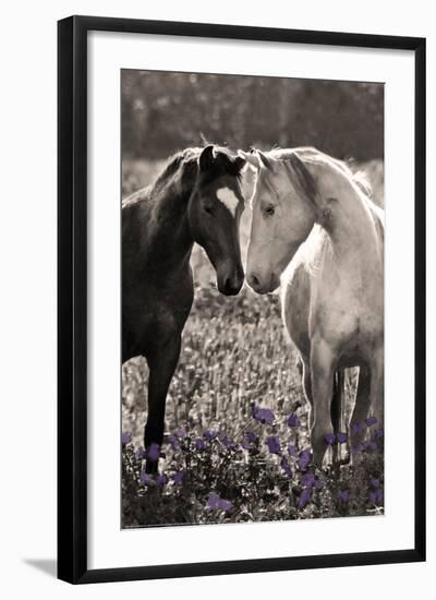 Horses I-Sally Linden-Framed Photo