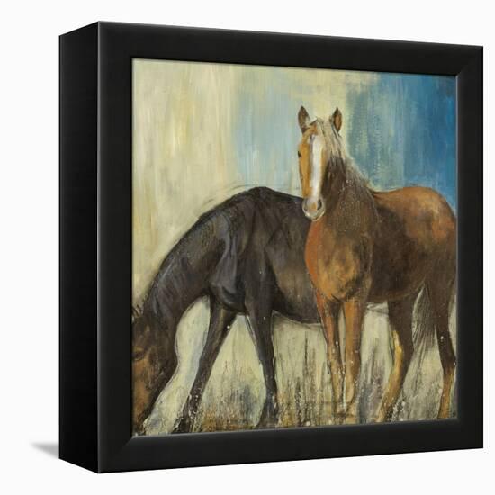 Horses II-Andrew Michaels-Framed Stretched Canvas