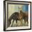 Horses II-Andrew Michaels-Framed Art Print