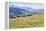 Horses, Ile-Alatau National Park, Tien Shan Mountains, Assy Plateau, Almaty, Kazakhstan, Central As-G&M Therin-Weise-Framed Premier Image Canvas