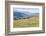 Horses, Ile-Alatau National Park, Tien Shan Mountains, Assy Plateau, Almaty, Kazakhstan, Central As-G&M Therin-Weise-Framed Photographic Print